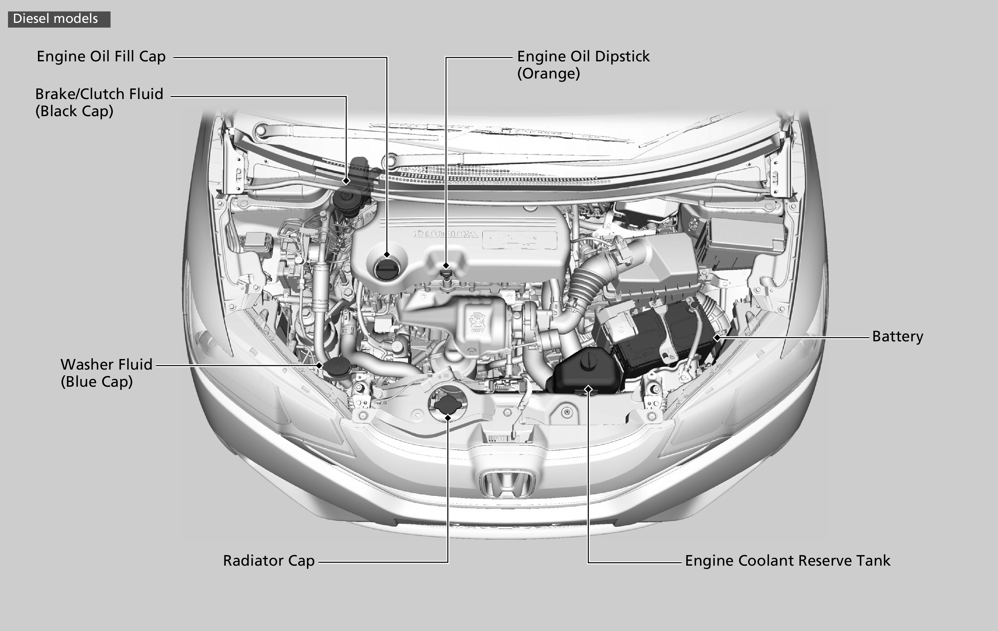 100+ [ 1994 Nissan D21 Service Manual ] | Manual Gearbox ...