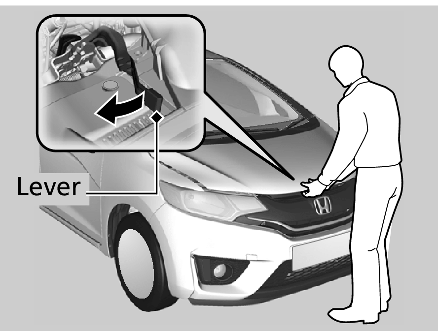 How To Open A Trunk Without A Key From The Outside? [Updated] - Honda The  Other Side